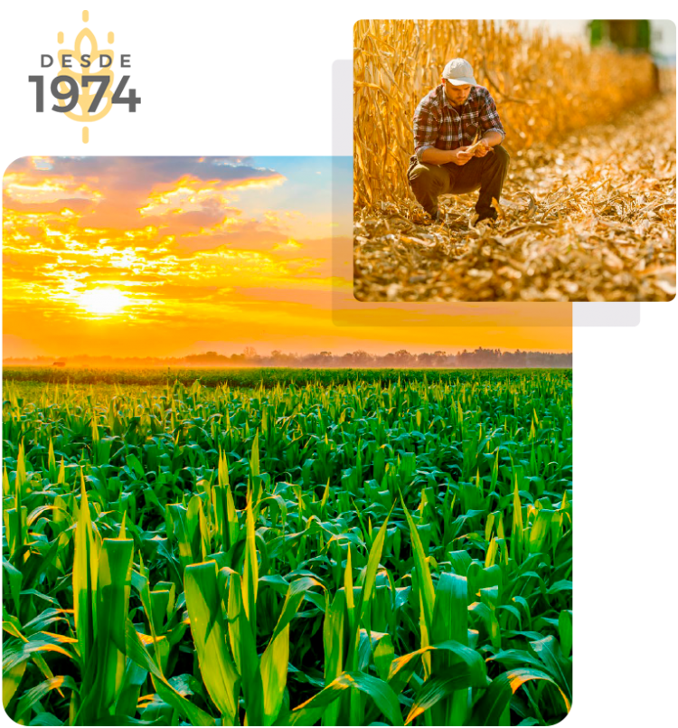 El campo es nuestro origen