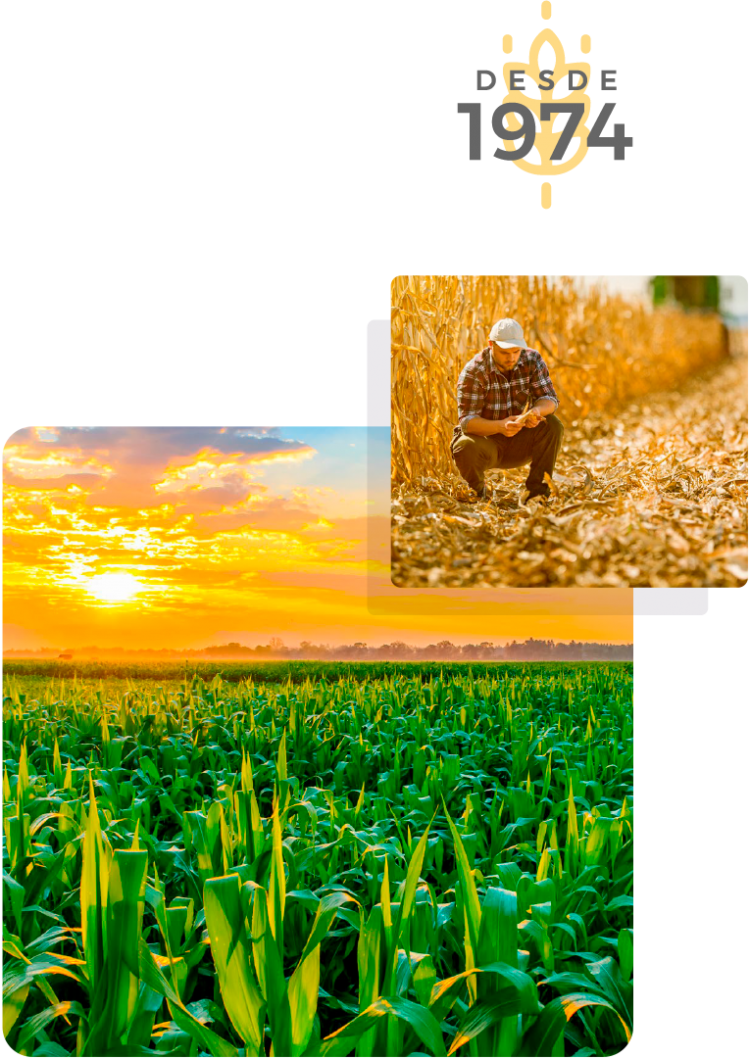 El campo es nuestro origen